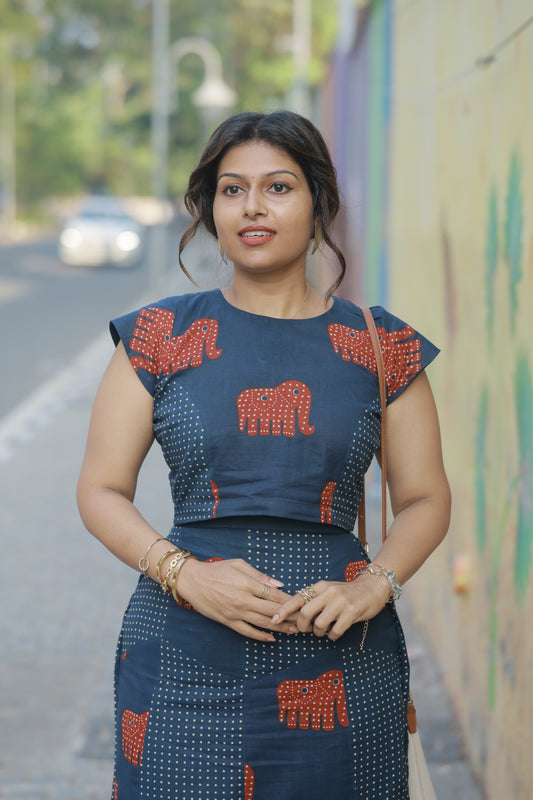 Shrishti Skirt And Top